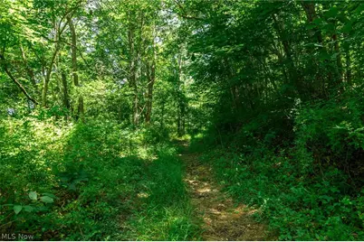 Clay Pike, Chandlersville, OH 43727 - Photo 14