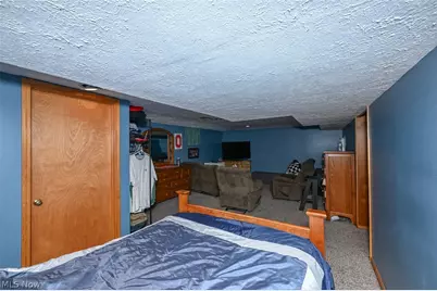 10953 Ambler Lane, Mantua, OH 44255 - Photo 18