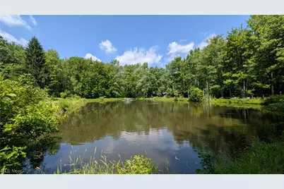 4370 Murphy Road, Thompson, OH 44086 - Photo 1