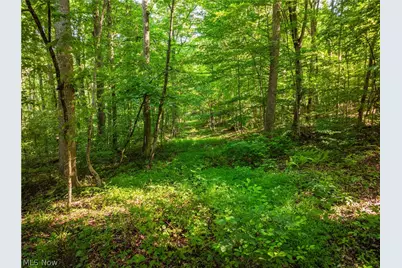 7413 Township Road 129, Millersburg, OH 44654 - Photo 24
