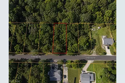 0 Charles Street, Mansfield, OH 44903 - Photo 4