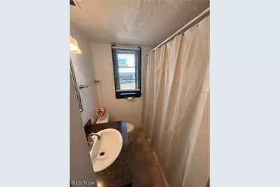 1707 W 31st Place, Loveland, OH 44113 - Photo 6
