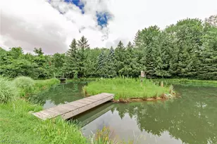 11292 Butternut Rd, Chardon, OH 44024 - Photo 42