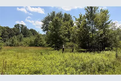 3359 Helsey Fusselman Road, Worthington, OH 44470 - Photo 24