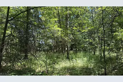 3359 Helsey Fusselman Road, Worthington, OH 44470 - Photo 6