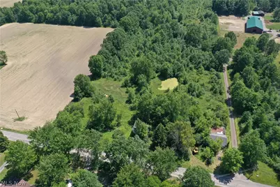 3359 Helsey Fusselman Road, Worthington, OH 44470 - Photo 30