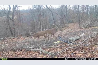 Hinkley Hollow Road, Portsmouth, OH 45662 - Photo 26