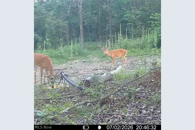 Hinkley Hollow Road, Portsmouth, OH 45662 - Photo 2
