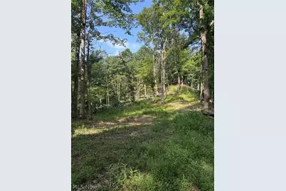 Hinkley Hollow Road, Portsmouth, OH 45662 - Photo 38