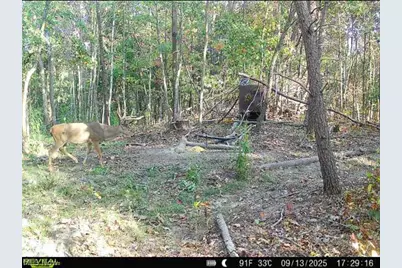 Hinkley Hollow Road, Portsmouth, OH 45662 - Photo 30