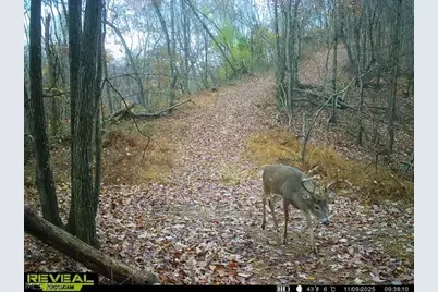 Hinkley Hollow Road, Portsmouth, OH 45662 - Photo 28