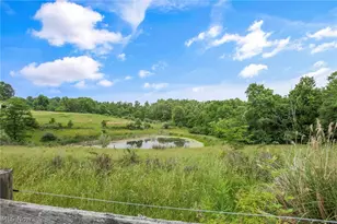 4000 Dillon Hills Dr, Nashport, OH 43830 - Photo 50