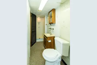 19155 Davinwood Drive, Loveland, OH 44135 - Photo 28