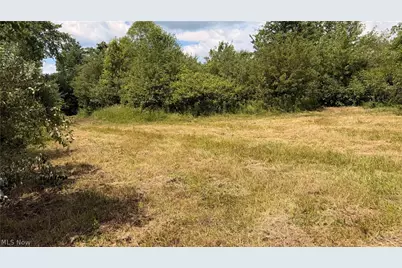 Leiby Osborne Road, Worthington, OH 44470 - Photo 12