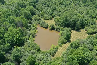 Leiby Osborne Road, Worthington, OH 44470 - Photo 22