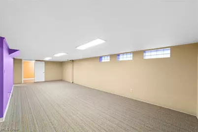 1314 Jackie Lane, Loveland, OH 44124 - Photo 20