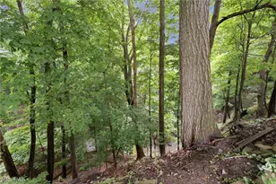 1351 N Circle View Dr, Green Hills, OH 44131 - Photo 20