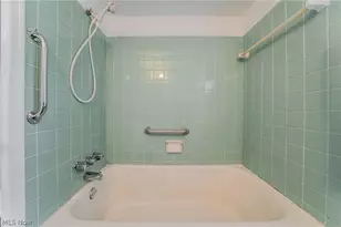 14410 Alger Rd, Loveland, OH 44111 - Photo 24