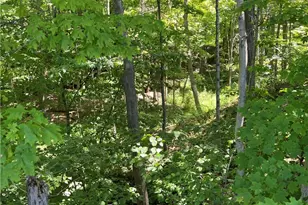 1016 Mechanicsville Rd, Geneva, OH 44041 - Photo 26