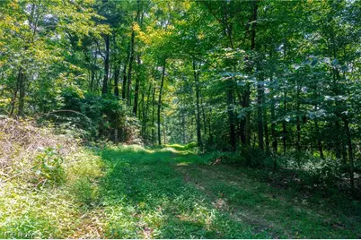 31800 Chestnut Ridge Road, Danville, OH 43050 - Photo 10