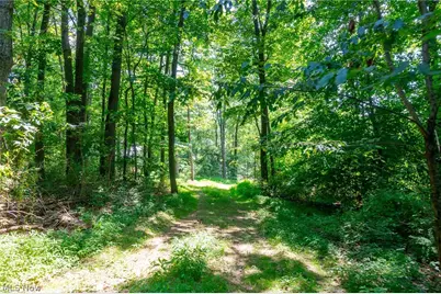 31800 Chestnut Ridge Road, Danville, OH 43050 - Photo 22