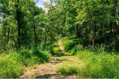 31800 Chestnut Ridge Road, Danville, OH 43050 - Photo 18