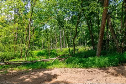 31800 Chestnut Ridge Road, Danville, OH 43050 - Photo 44