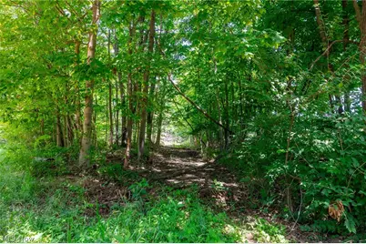 31800 Chestnut Ridge Road, Danville, OH 43050 - Photo 24