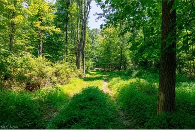 31800 Chestnut Ridge Road, Danville, OH 43050 - Photo 20
