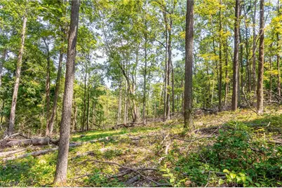 31800 Chestnut Ridge Road, Danville, OH 43050 - Photo 38