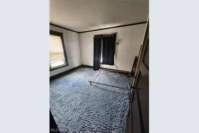 160 W Laclede Avenue, Youngstown, OH 44507 - Photo 26