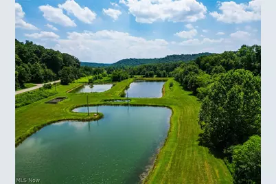 1633 State Route 60, Millersburg, OH 44654 - Photo 4