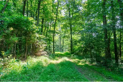 31800 Chestnut Ridge Road #1, Danville, OH 43050 - Photo 4