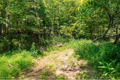 31800 Chestnut Ridge Road #1, Danville, OH 43050 - Photo 10