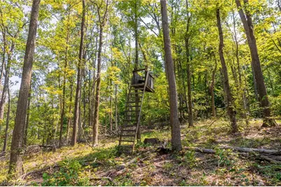 31800 Chestnut Ridge Road #2, Danville, OH 43050 - Photo 8