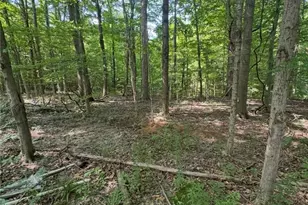 3650 W 4th St, Ontario, OH 44903 - Photo 38