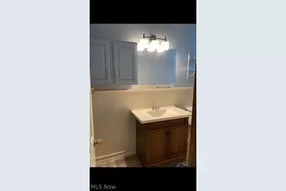 7320 Covert Avenue, Loveland, OH 44105 - Photo 44