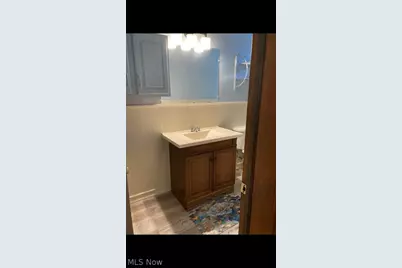 7320 Covert Avenue, Loveland, OH 44105 - Photo 26