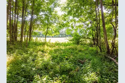 Lot 3 Township Rd 51, Somerset, OH 43783 - Photo 10