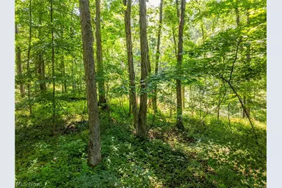 Lot 6 Township Rd 51, Somerset, OH 43783 - Photo 4