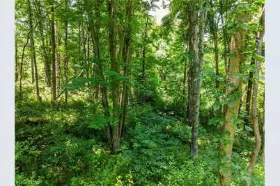 Lot 7 Township Rd 51, Somerset, OH 43783 - Photo 8