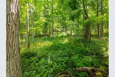 Lot 7 Township Rd 51, Somerset, OH 43783 - Photo 20