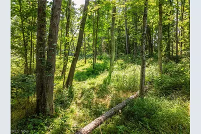 Lot 8 Township Rd 51, Somerset, OH 43783 - Photo 4