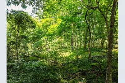 Lot 8 Township Rd 51, Somerset, OH 43783 - Photo 8