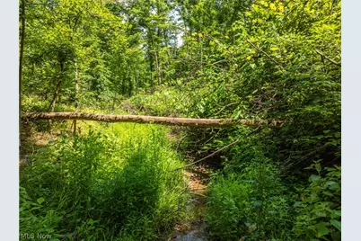 Lot 9 Township Rd 51, Somerset, OH 43783 - Photo 12