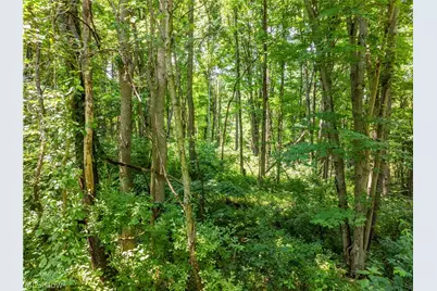 Lot 11 Township Rd 51, Somerset, OH 43783 - Photo 6