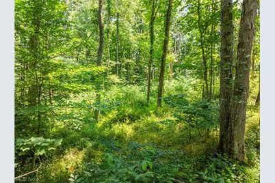 Lot 15 Township Rd 51, Somerset, OH 43783 - Photo 12