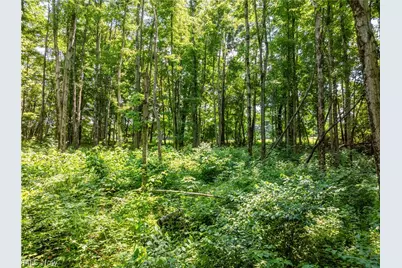 Lot 18 Township Rd 51, Somerset, OH 43783 - Photo 14