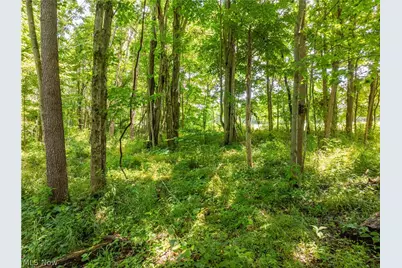 Lot 18 Township Rd 51, Somerset, OH 43783 - Photo 16