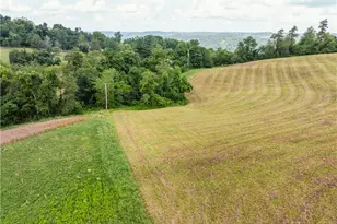 50109 Sykes Ridge Rd, Clarington, OH 43915 - Photo 16